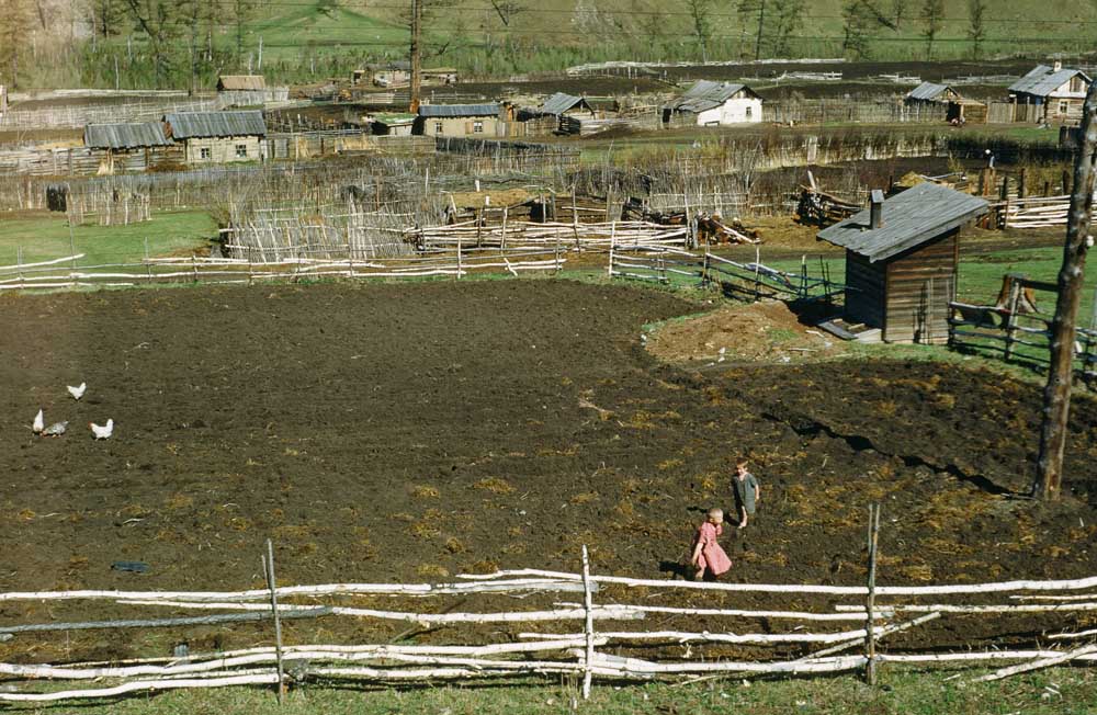 Деревенский двор. Место съемки неизвестно.